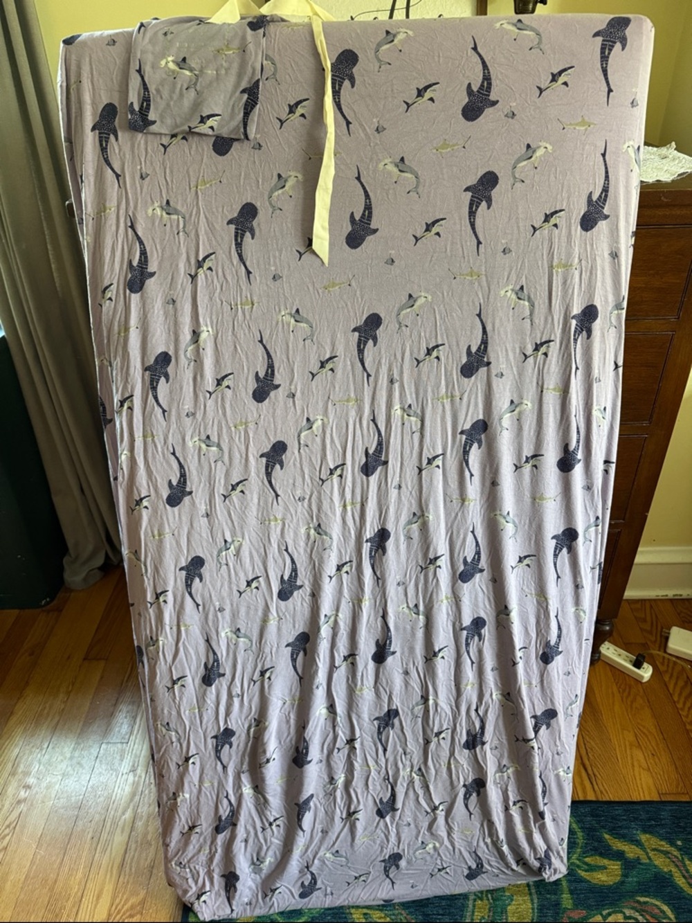 Kyte BABY crib sheet Taro shark
